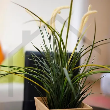 Piso De Gran Categoría San Agustín - Apartamento Gijón